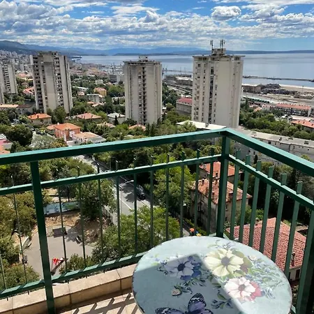 With Amazing View *